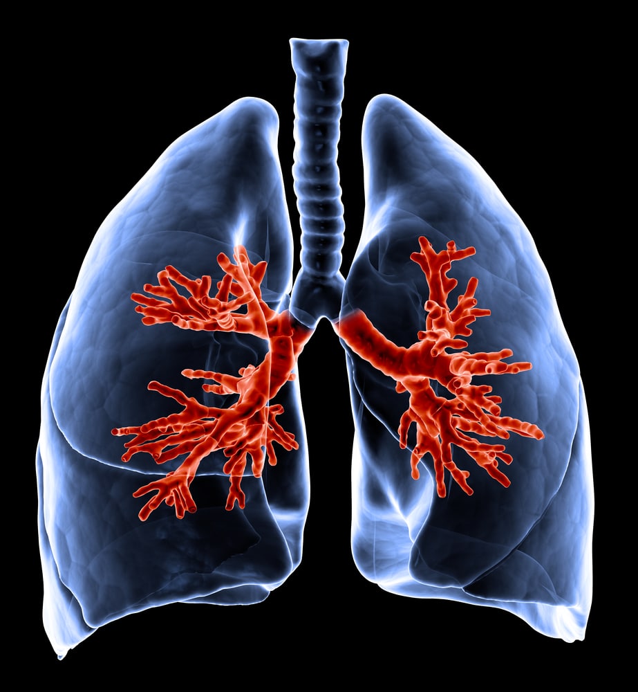 work related lung disease