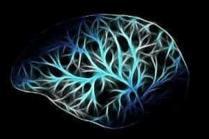 neurons in the brain impacted by concussion
