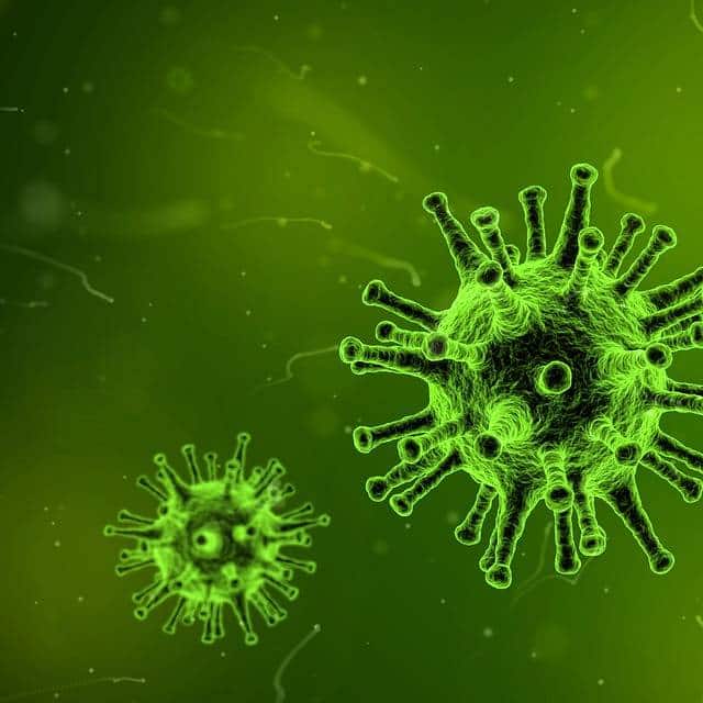 virus that could cause infection